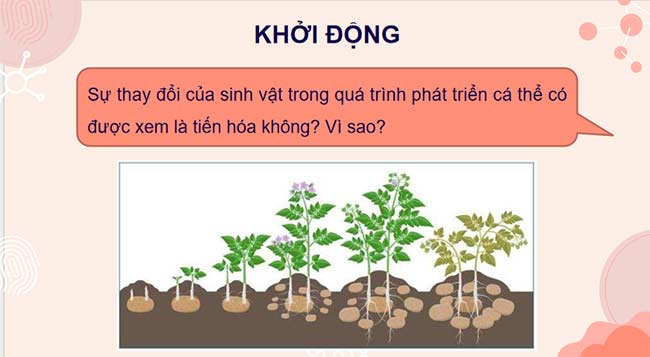 PowerPoint KHTN 9 Bài 43 Cánh diều