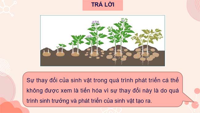 PowerPoint KHTN 9 Bài 43 Cánh diều