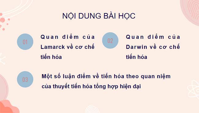 PowerPoint KHTN 9 Bài 43 Cánh diều