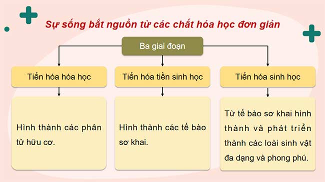 PowerPoint KHTN 9 Bài 44 Cánh diều