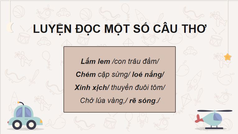 Đường quê Đồng Tháp Mười