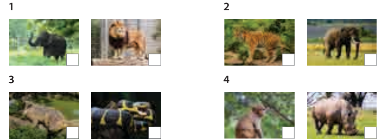 Tiếng Anh 5 Wonderful world Unit 11 Fun time & Project