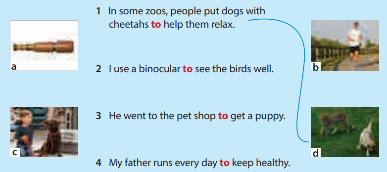 Tiếng Anh 5 Wonderful world Unit 11 lesson 2