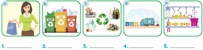 Giải SBT tiếng Anh lớp 6 Unit 11 Our Greener World