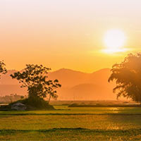 Giáo án Tiếng Việt 5: Nói về cuộc sống thanh bình