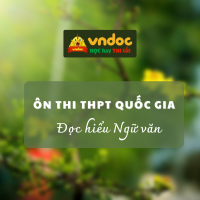 Đề đọc hiểu môn Ngữ Văn 