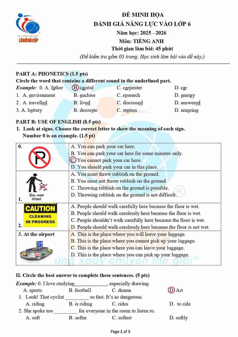 de minh hoa danh gia nang luc vao lop 6 tieng anh 1*688336