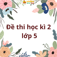 Bộ đề thi học kì 2 Lịch Sử và Địa Lí 5 năm 2025 - 2026 sách Kết nối tri thức