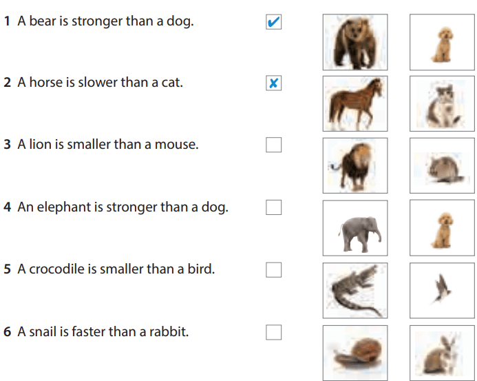 Tiếng Anh 5 Wonderful world Review 6 Part 4