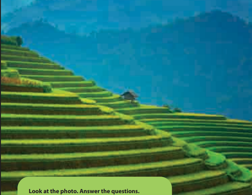 Tiếng Anh 5 Wonderful world Unit 12 lesson 1