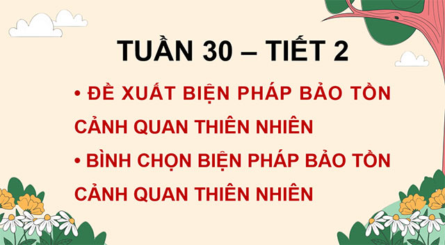 PowerPoint Hoạt động trải nghiệm 5 Tuần 30