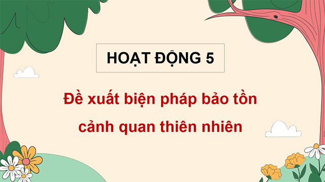 PowerPoint Hoạt động trải nghiệm 5 Tuần 30