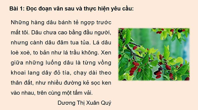 PowerPoint Tiếng Việt 5 Liên kết các câu trong đoạn văn bằng cách lặp từ ngữ