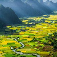 Giáo án Tiếng Việt 5 Bài 16: Việt Nam ở trong trái tim tôi