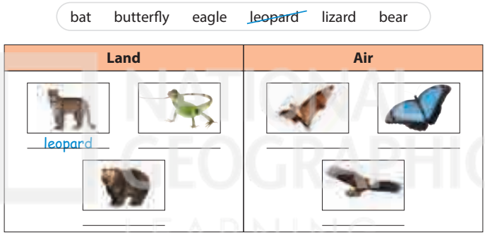 Sách bài tập tiếng Anh 5 Wonderful world Unit 11 lesson 1