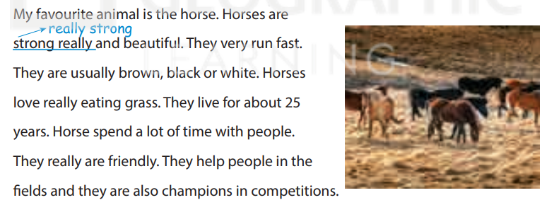 Sách bài tập tiếng Anh 5 Wonderful world Unit 11 lesson 3