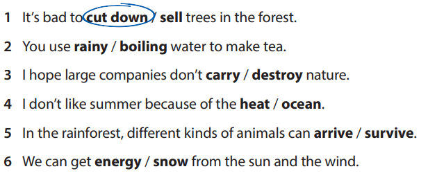 Sách bài tập tiếng Anh 5 Wonderful world Unit 12 lesson 1