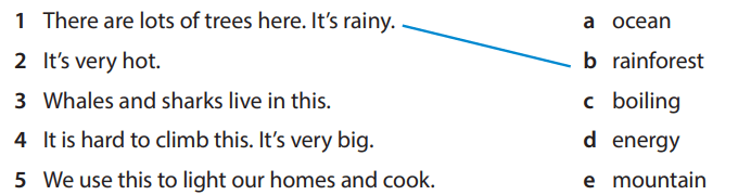 Sách bài tập tiếng Anh 5 Wonderful world Unit 12 lesson 1