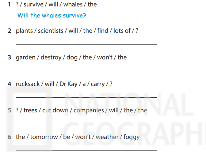 Sách bài tập tiếng Anh 5 Wonderful world Unit 12 lesson 2
