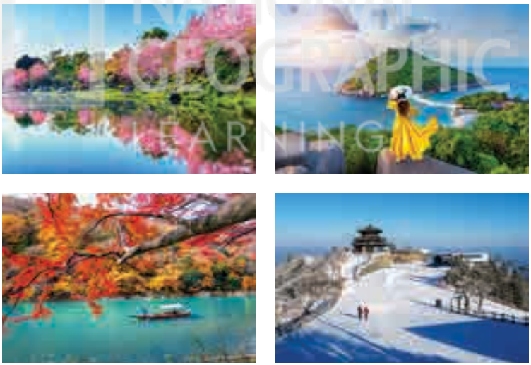 Sách bài tập tiếng Anh 5 Wonderful world Unit 12 lesson 3