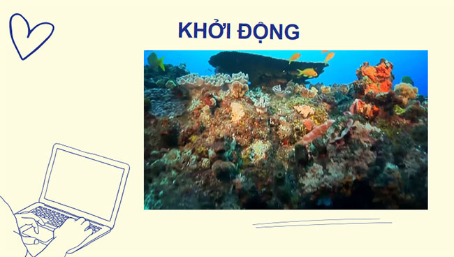PowerPoint KHTN 7 Bài 39 Kết nối tri thức
