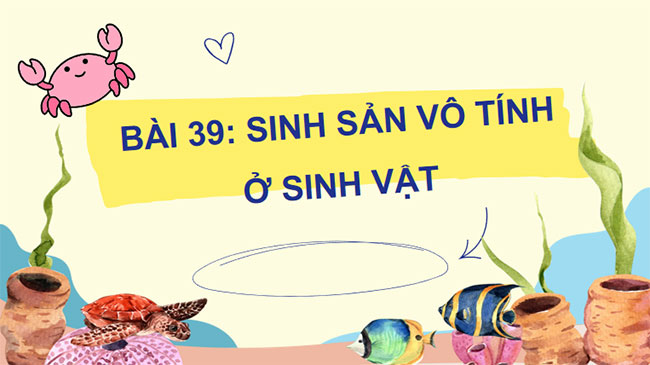 PowerPoint KHTN 7 Bài 39 Kết nối tri thức