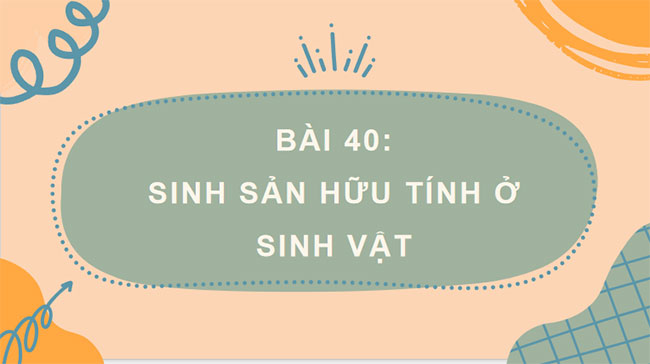 PowerPoint KHTN 7 Bài 40 Kết nối