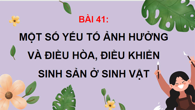 PowerPoint KHTN 7 Bài 41 Kết nối tri thức