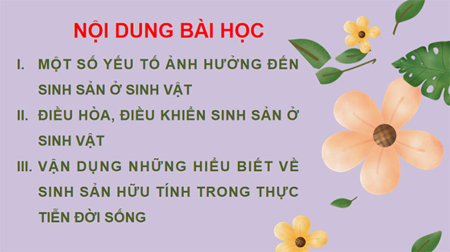 PowerPoint KHTN 7 Bài 41 Kết nối tri thức