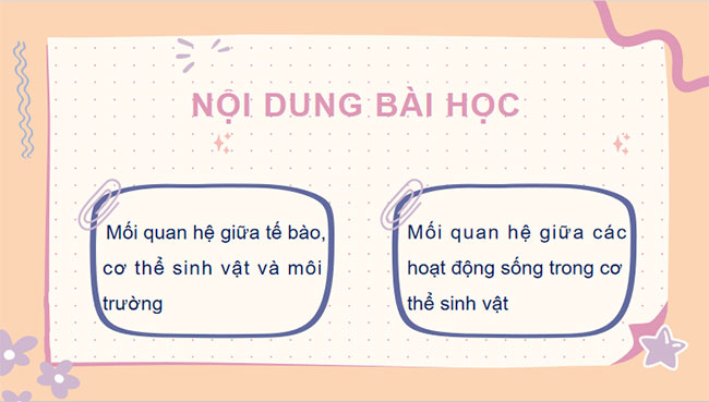 PowerPoint KHTN 7 Bài 42 Kết nối tri thức