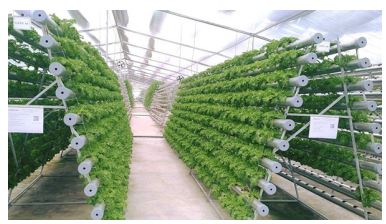 Đề thi thử tốt nghiệp môn Công nghệ