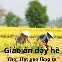 Giáo án dạy hè: Hạt gạo làng ta