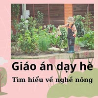 Giáo án dạy hè: Tìm hiểu về nghề nông