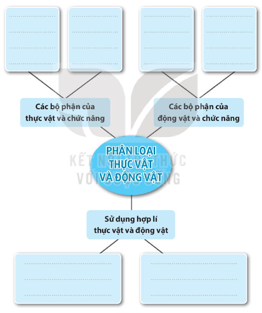 Vở bài tập Tự nhiên và xã hội lớp 3 trang 46, 47 Bài 17: Ôn tập chủ đề thực vật và động vật - Kết nối tri thức (ảnh 1)