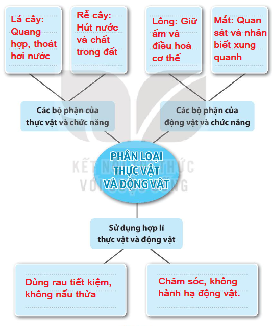 Vở bài tập Tự nhiên và xã hội lớp 3 trang 46, 47 Bài 17: Ôn tập chủ đề thực vật và động vật - Kết nối tri thức (ảnh 1)