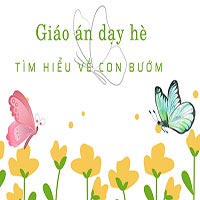 Giáo án dạy hè: Tìm hiểu về con bướm 
