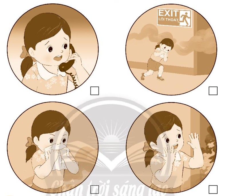 Vở bài tập Tự nhiên và xã hội lớp 3 trang 16, 17 Bài 5: Ôn tập chủ đề gia đình - Chân trời sáng tạo (ảnh 1)