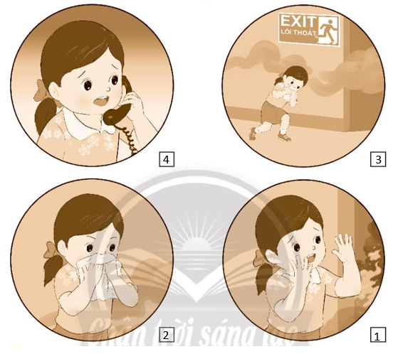 Vở bài tập Tự nhiên và xã hội lớp 3 trang 16, 17 Bài 5: Ôn tập chủ đề gia đình - Chân trời sáng tạo (ảnh 1)