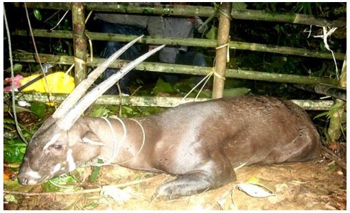 Đề thi thử môn Công nghệ