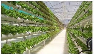 Đề thi thử môn Công nghệ