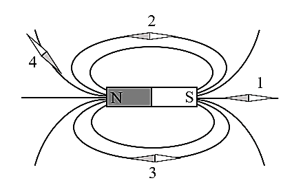 Đề thi cuối kì 2 KHTN 7 Theo CV 7991