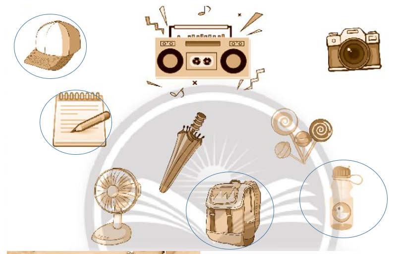 Vở bài tập Tự nhiên và xã hội lớp 3 trang 38, 39 Bài 13: Thực hành: Khám phá cuộc sống xung quanh em - Chân trời sáng tạo (ảnh 1)