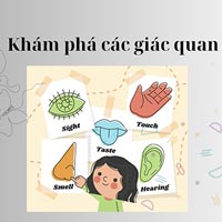 Giáo án STEAM 5E: Khám phá các giác quan