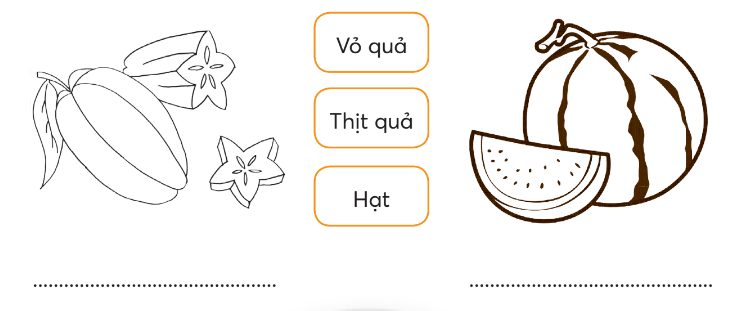 Vở bài tập Tự nhiên và xã hội lớp 3 trang 46, 47, 48 Bài 16: Hoa và quả - Chân trời sáng tạo (ảnh 1)