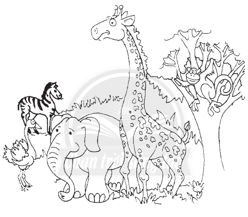 Vở bài tập Tự nhiên và xã hội lớp 3 trang 49, 50, 51 Bài 17: Thế giới động vật quanh em - Chân trời sáng tạo (ảnh 1)