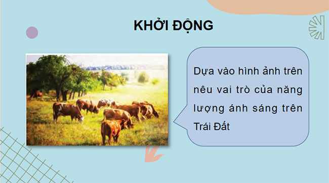 PowerPoint KHTN 7 Bài 15 Kết nối tri thức