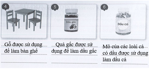 Vở bài tập Tự nhiên và xã hội lớp 3 trang 46, 47, 48, 49 Bài 14: Sử dụng hợp lí thực vật và động vật - Cánh diều (ảnh 1)