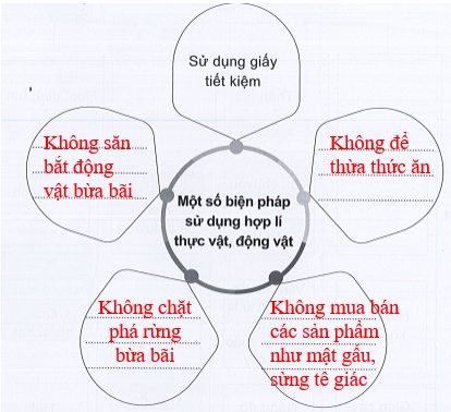 Vở bài tập Tự nhiên và xã hội lớp 3 trang 46, 47, 48, 49 Bài 14: Sử dụng hợp lí thực vật và động vật - Cánh diều (ảnh 1)