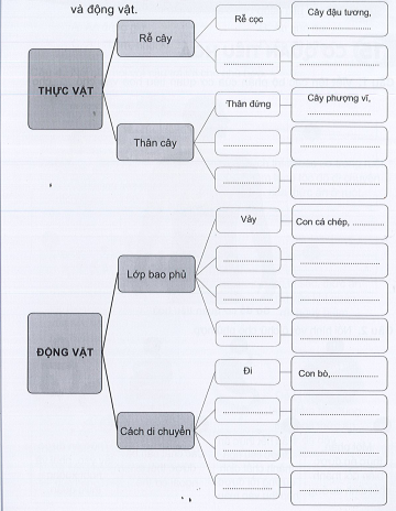 Vở bài tập Tự nhiên và xã hội lớp 3 trang 50, 51 Ôn tập: Chủ đề Thực vật và Động vật - Cánh diều (ảnh 1)