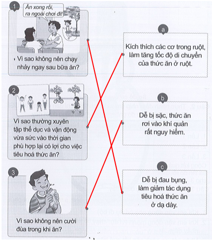 Vở bài tập Tự nhiên và xã hội lớp 3 trang 52, 53 Bài 15: Cơ quan tiêu hóa - Cánh diều (ảnh 1)